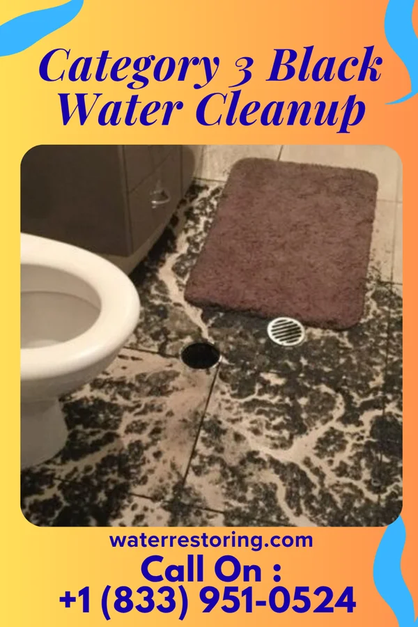 Category 3 Black Water Cleanup in Bellefontaine, OH