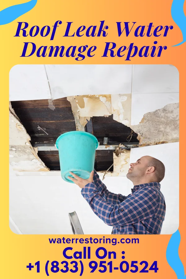 Roof Leak Water Damage Repair in Bellefontaine, OH