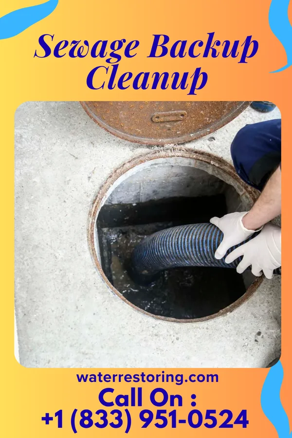 Sewage Backup Cleanup in Bellefontaine, OH