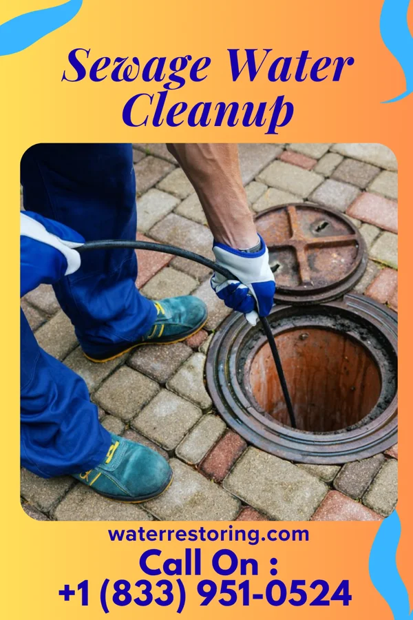 Sewage Water Cleanup in Bellefontaine, OH